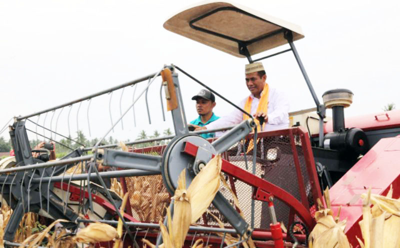 323.870 Ton, 81 Penyuluh Boalemo Dukung 1.119 Poktan Panen Jagung